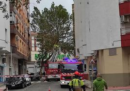 El viento vuelve a castigar al arbolado urbano