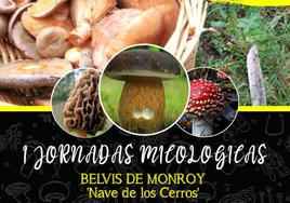 Belvís celebrará el sábado sus I Jornadas Micológicas