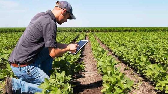 La tecnología al servicio del mundo rural