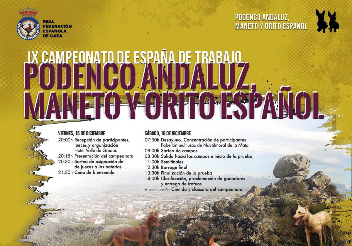 Navalmoral acoge el IX Campeonato de España de trabajo para Podenco, Maneto y Orito Español