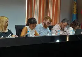 Grupo municipal socialista en el pleno