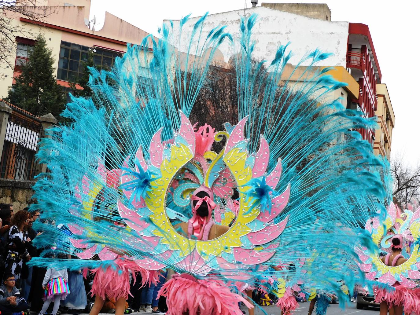 Fotos: Carrozas y comparsas