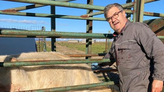 «Antes tenías que tirar de ojo clínico y experiencia»