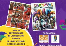 Una exposición con más de 500 piezas de Playmobil recrea el desfile del Carnaval