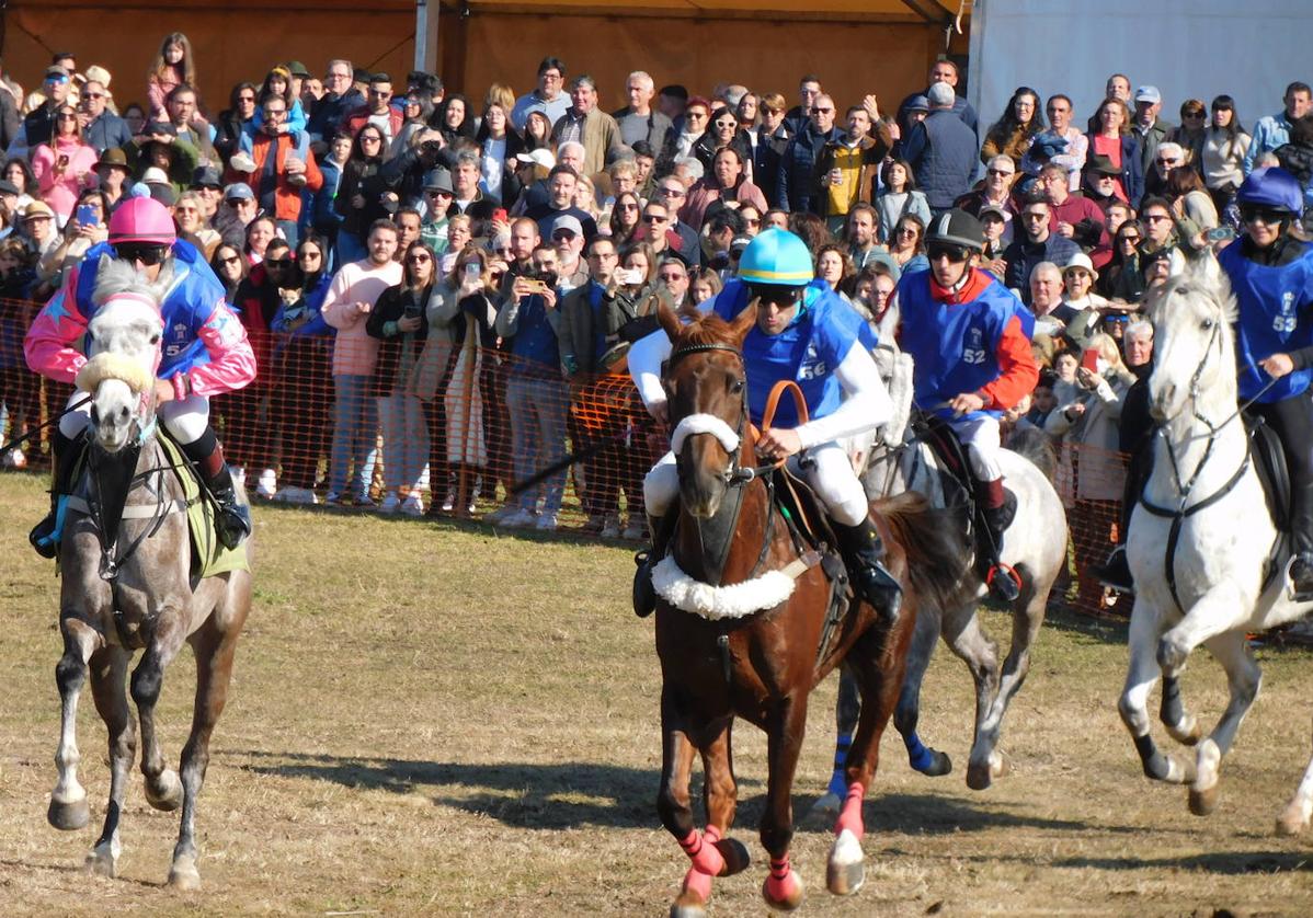 Las carreras de caballos de Toril repartirán casi 8.500 euros en premios