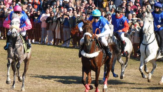 Las carreras de caballos de Toril repartirán casi 8.500 euros en premios