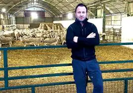 «Antes había más beneficio con 100 ovejas que ahora con 400», afirma Alejandro Pérez