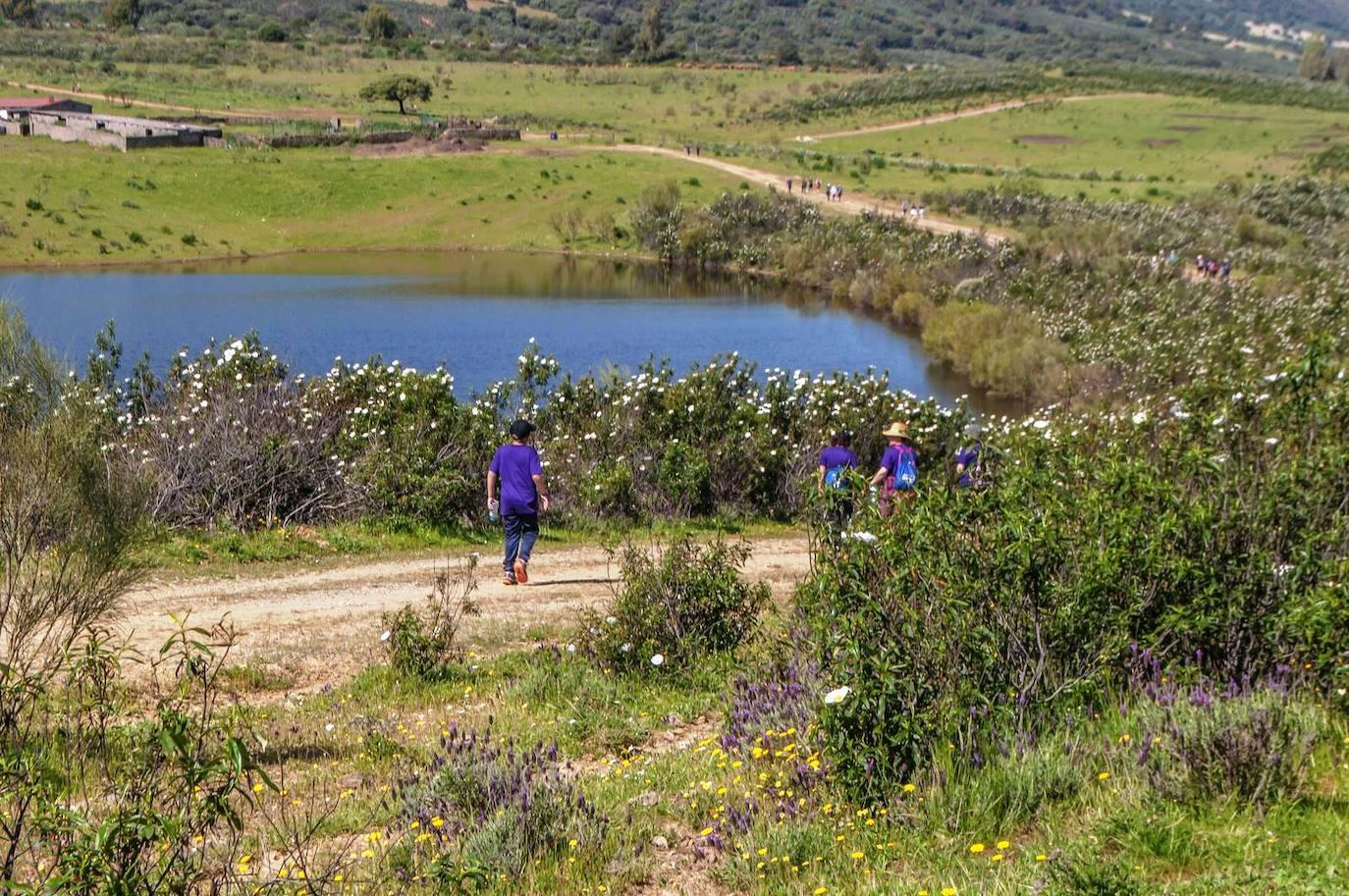 La Ruta Violeta une Higuera de Albalat con Casas de Miravete