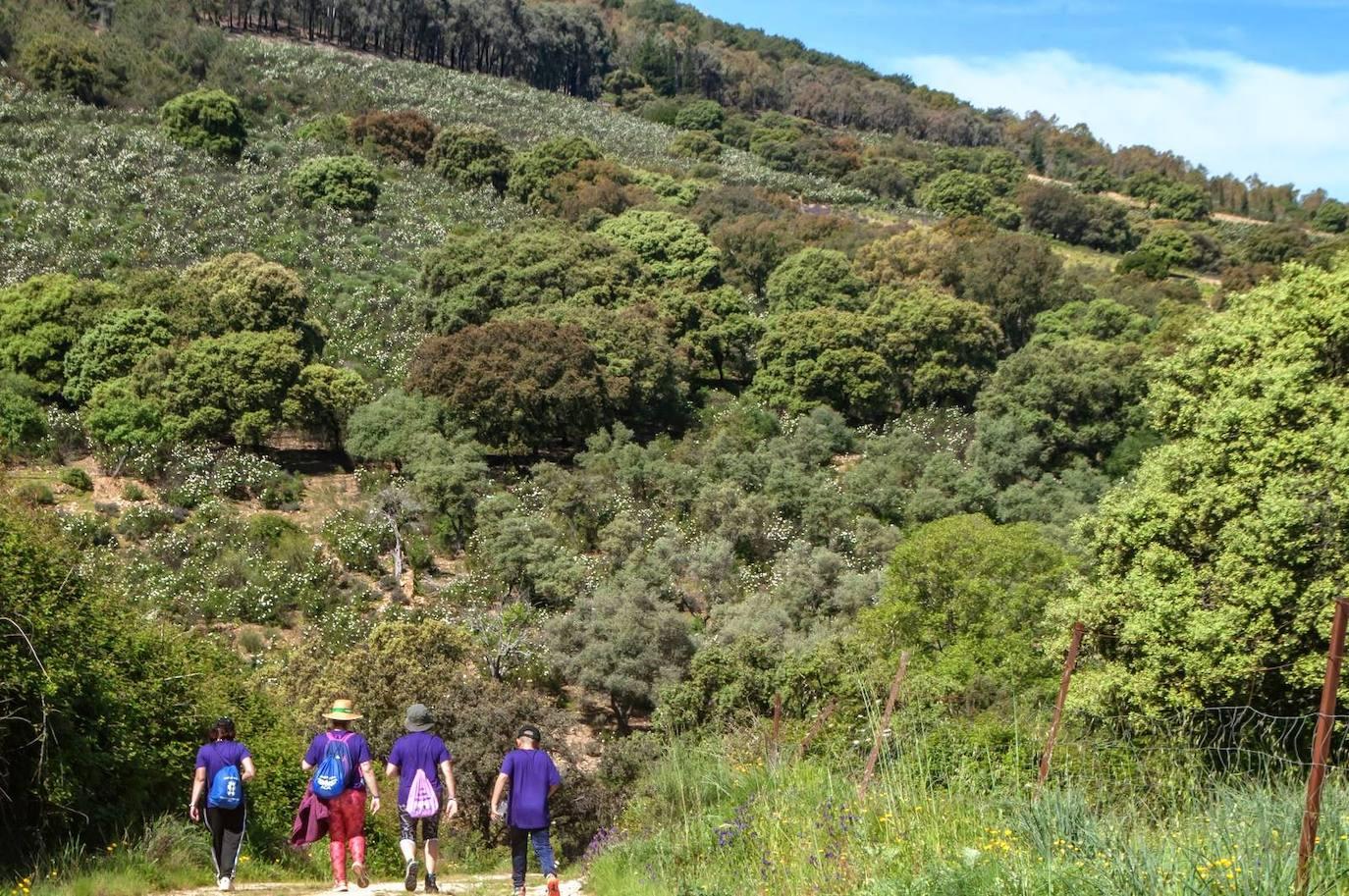 La Ruta Violeta une Higuera de Albalat con Casas de Miravete