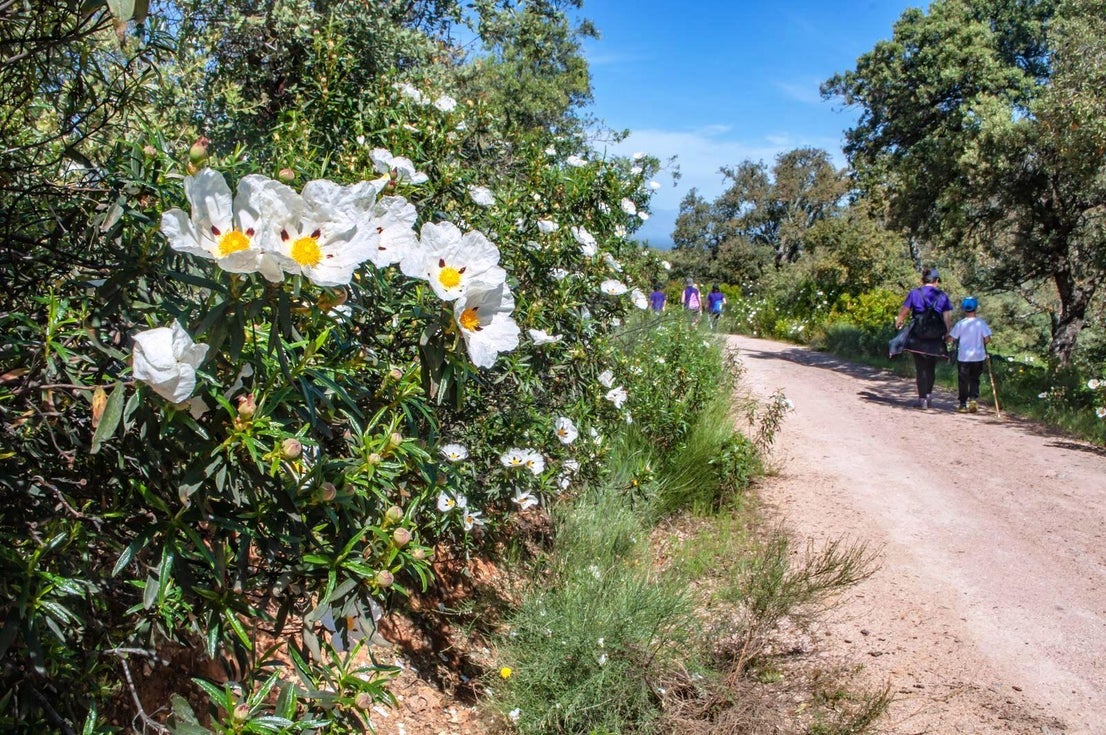 La Ruta Violeta une Higuera de Albalat con Casas de Miravete