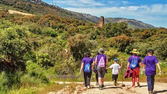 Buena acogida de la II Ruta Violeta entre Higuera de Albalat y Casas de Miravete