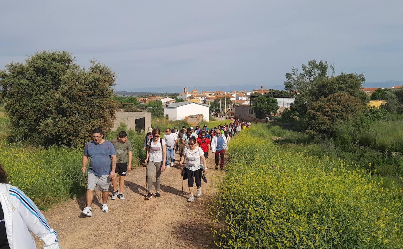 La XX Ruta a Peñaflor reúne a más de 200 senderistas