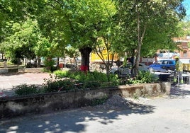 Empiezan a notarse las obras del tren en el parque municipal