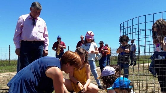 Majadas celebra un año más la Fiesta de la Encina