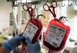 Cada tres segundos alguien necesita sangre para intervenciones quirúrgicas y tratamientos.
