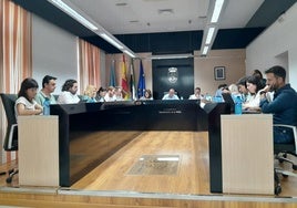 Pleno ordinario celebrado en la tarde del lunes