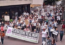 Los manifestantes a su paso por la zona peatonal