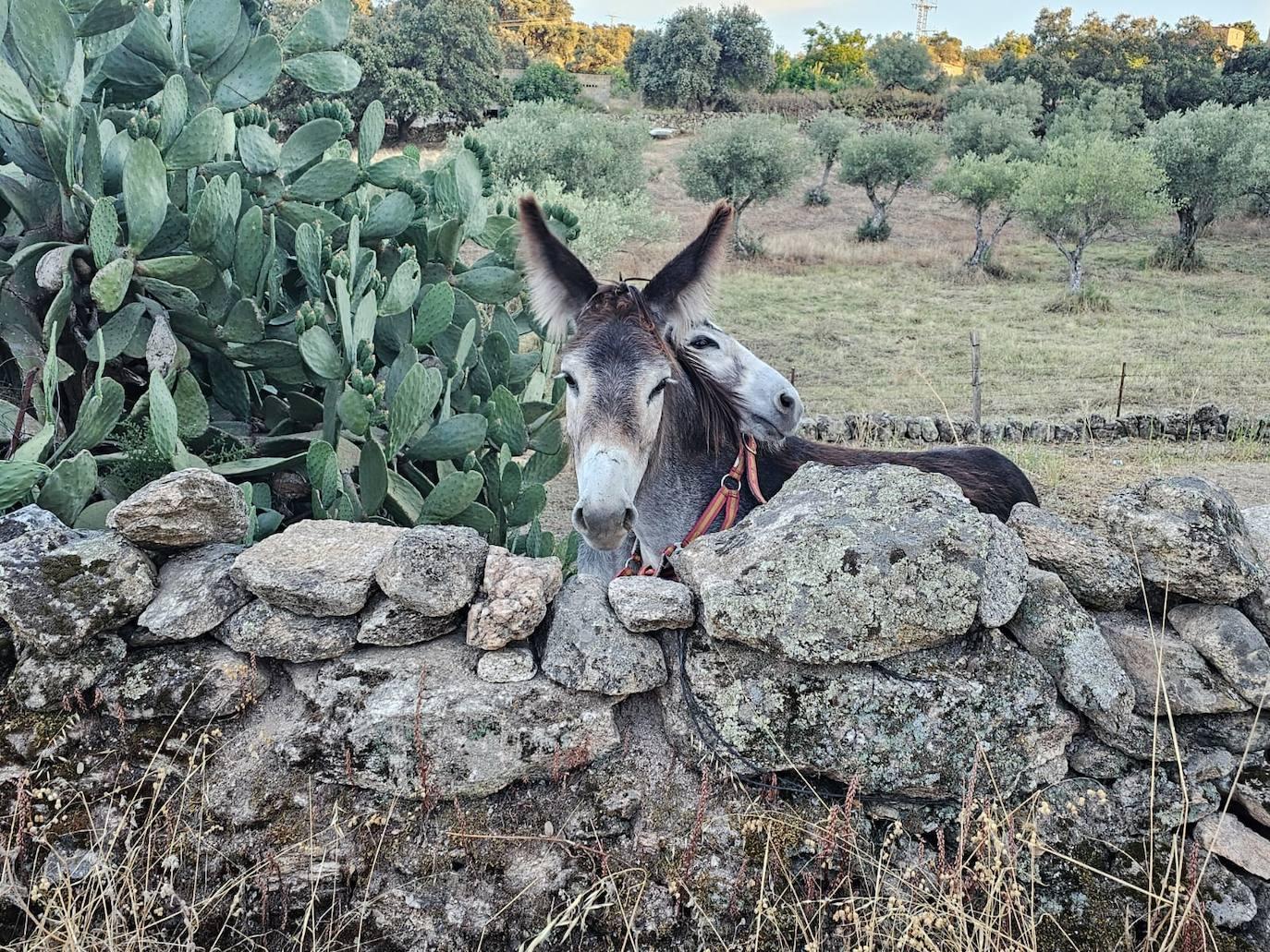 Senderismo nocturno por los humedales ravincheros