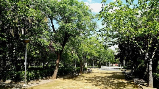 El Ayuntamiento saca a concurso la 'Conservación y mantenimiento de las zonas verdes municipales'