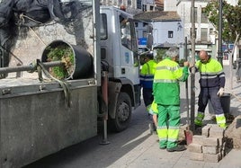 Plantación en la plaza de España