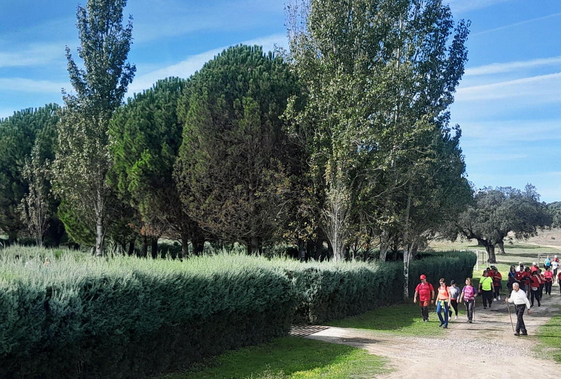 Gran acogida de la convivencia entre el CECA y El Garigolo