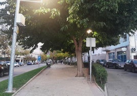 Tramo a peatonalizar en la avenida de las Angustias