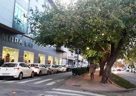 Zona de la avenida de las Angustias a peatonalizar