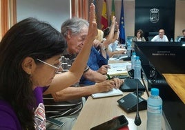 Cristina Cano en el pleno al inicio de la legislatura