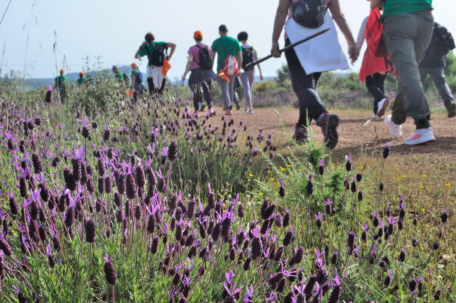 El GeoCentro alcanza los 15.000 visitantes desde su apertura