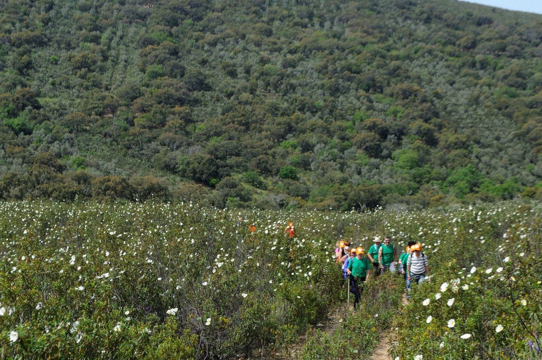 El GeoCentro alcanza los 15.000 visitantes desde su apertura
