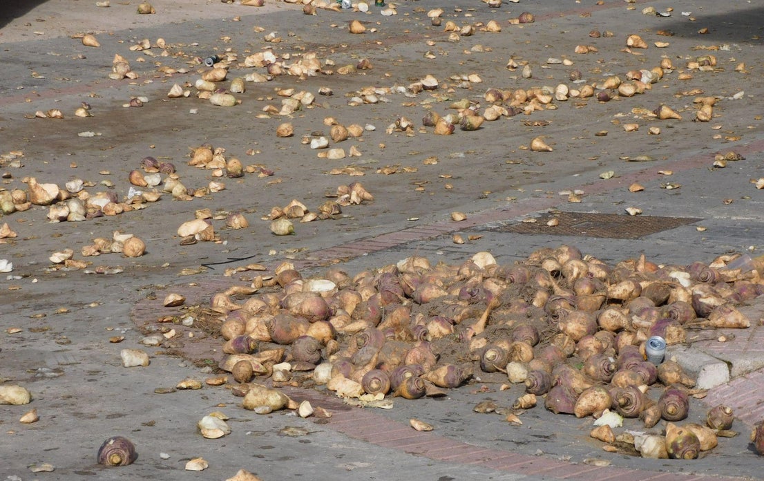 Jarramplas llena de nabos y visitantes las calles de Piornal
