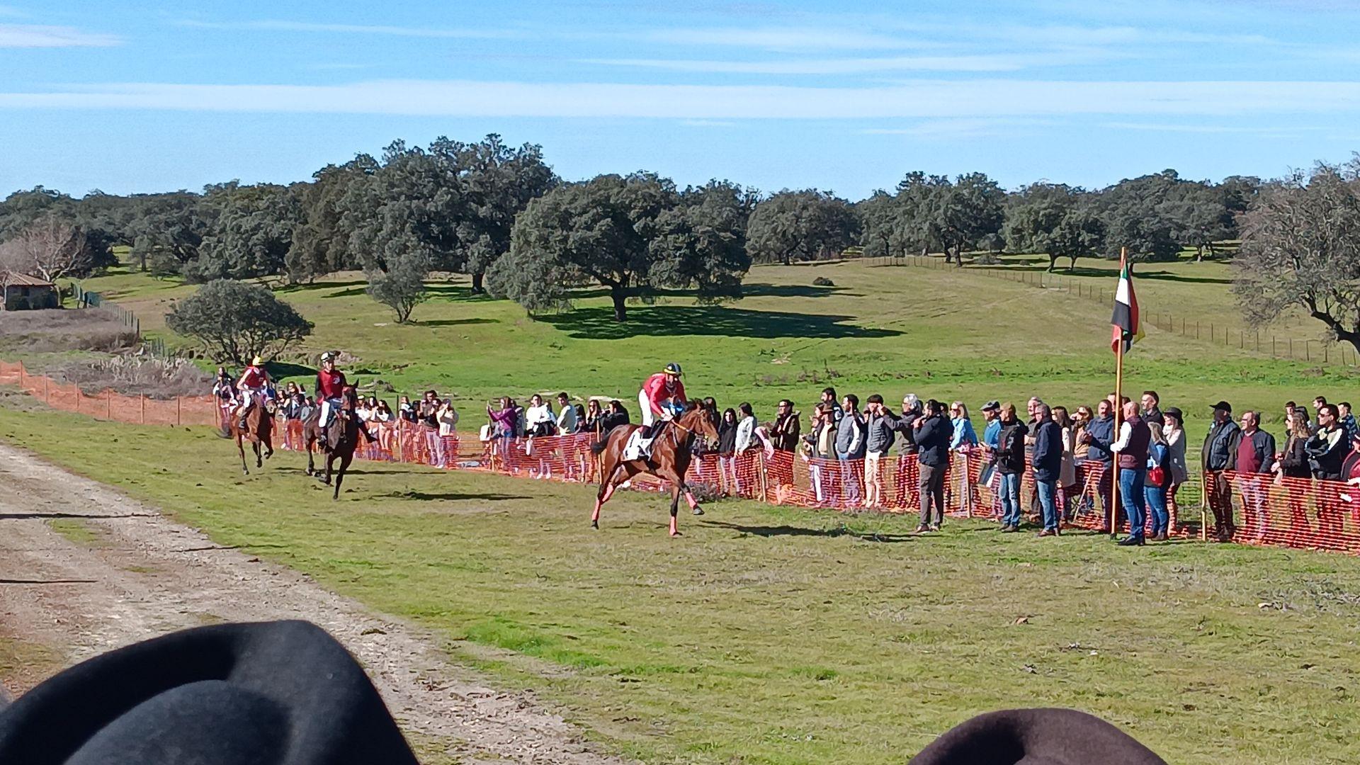 Gran ambiente en Toril en las carreras de caballos de San Blas