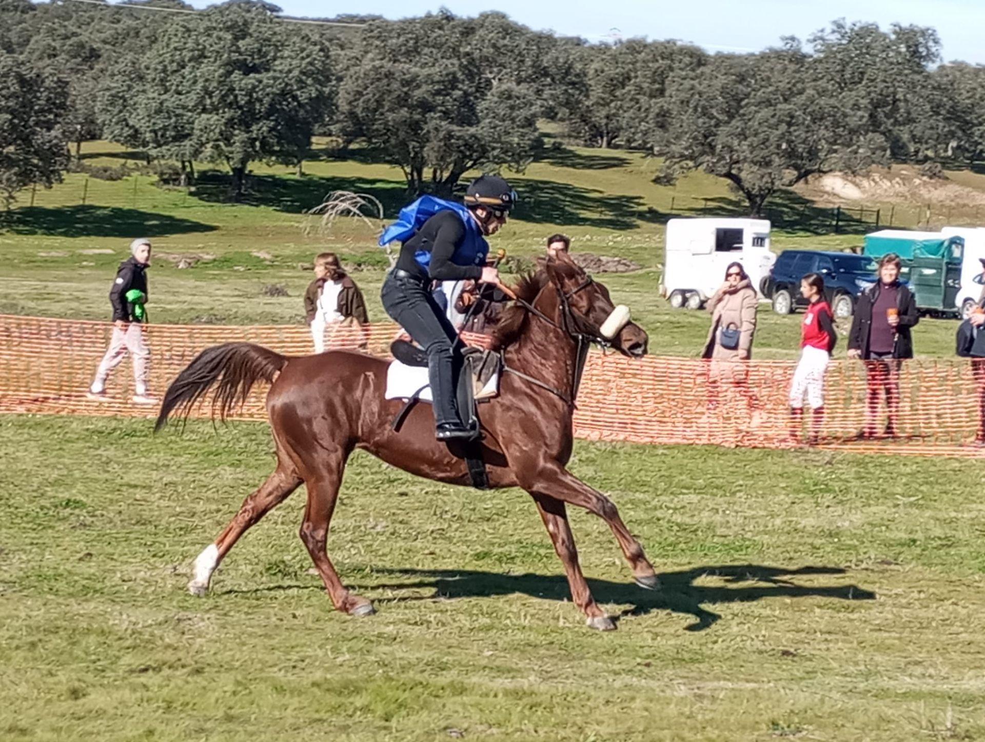 Gran ambiente en Toril en las carreras de caballos de San Blas