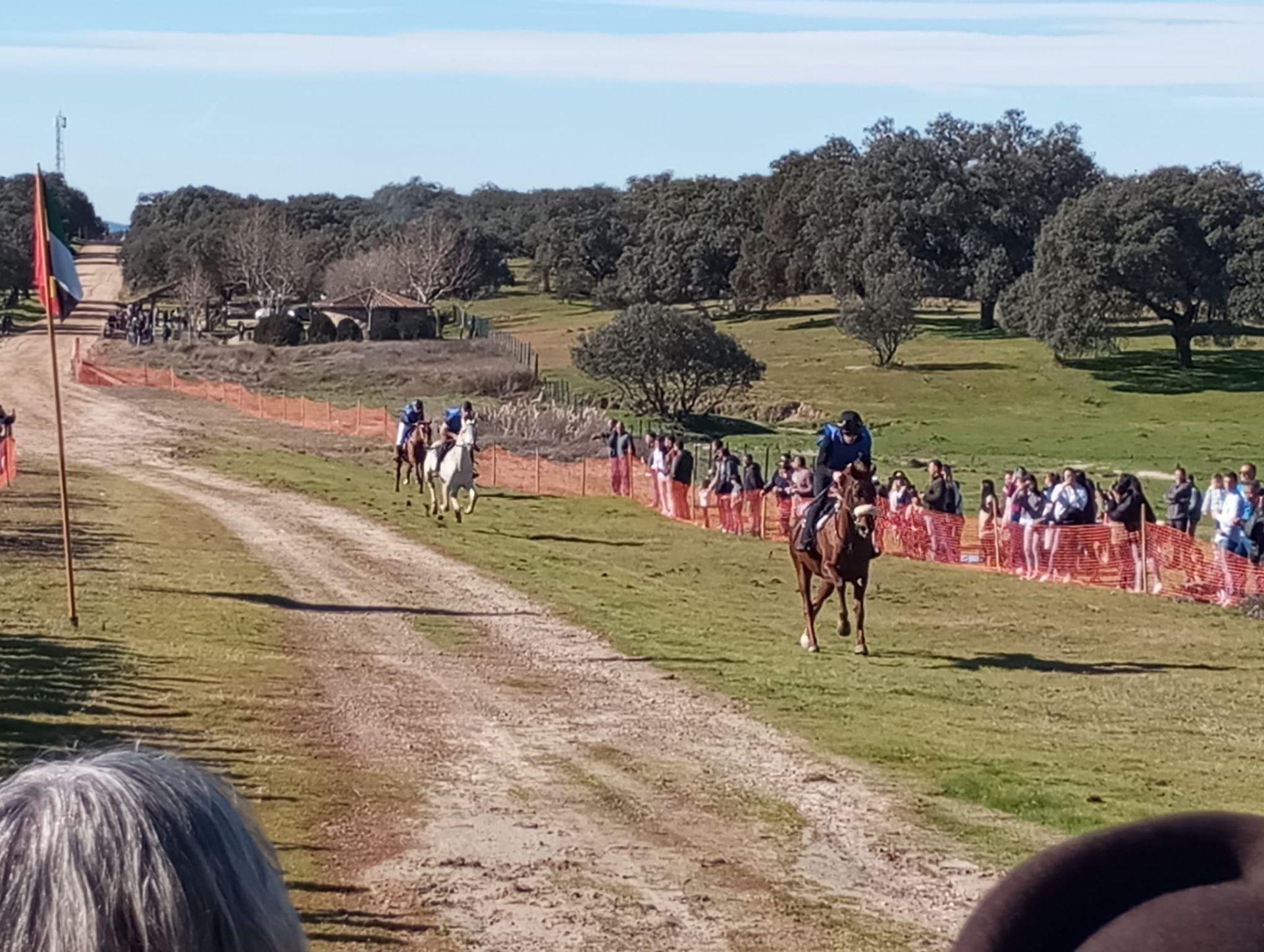 Gran ambiente en Toril en las carreras de caballos de San Blas