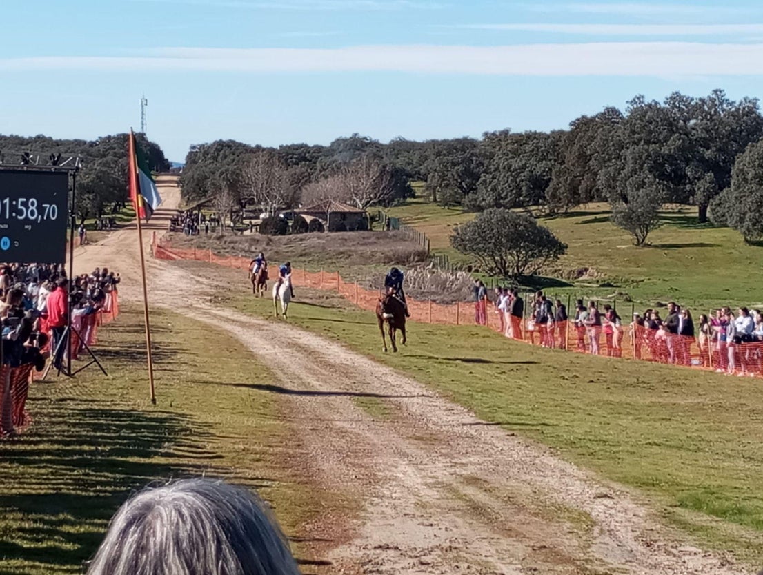 Gran ambiente en Toril en las carreras de caballos de San Blas