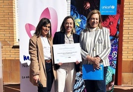 Solo dos centros de Extremadura han alcanzado el nivel 2