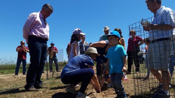 La Fiesta de la Encina de Majadas de Tiétar cumplirá el sábado 25 años