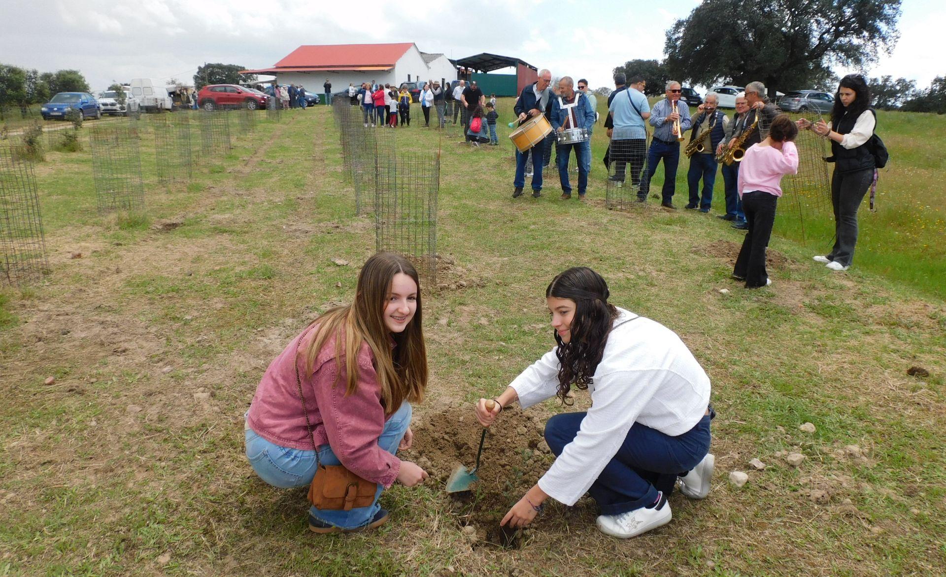 Majadas conmemora los 25 años de la Fiesta de la Encina