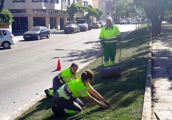 Un recurso lleva a suspender el concurso de las zonas verdes
