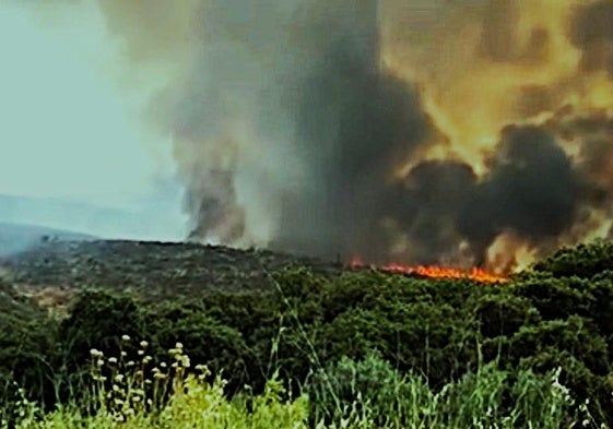 Un incendio en Valdecañas obliga a cortar una carretera y deja sin luz a la población