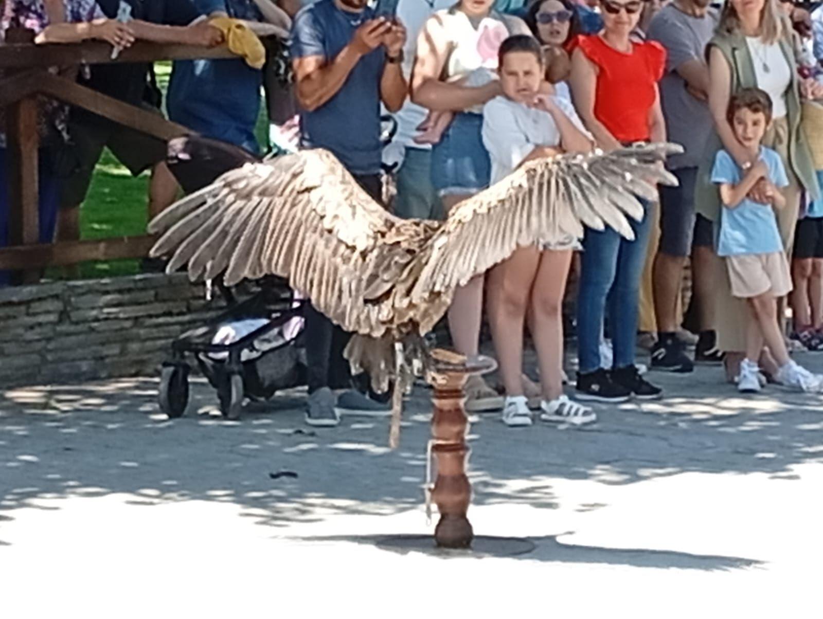 Toril vuelve a homenajear a la dehesa y al río Tiétar