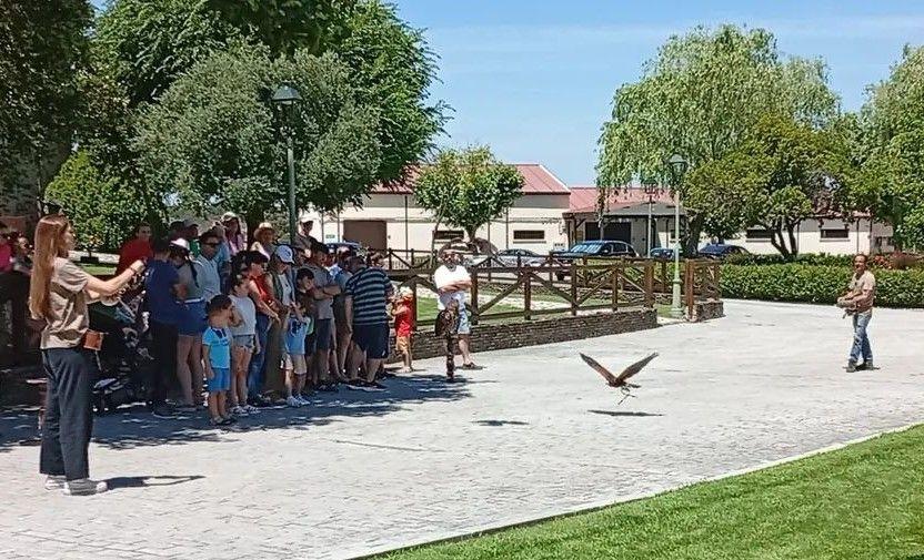 Toril vuelve a homenajear a la dehesa y al río Tiétar