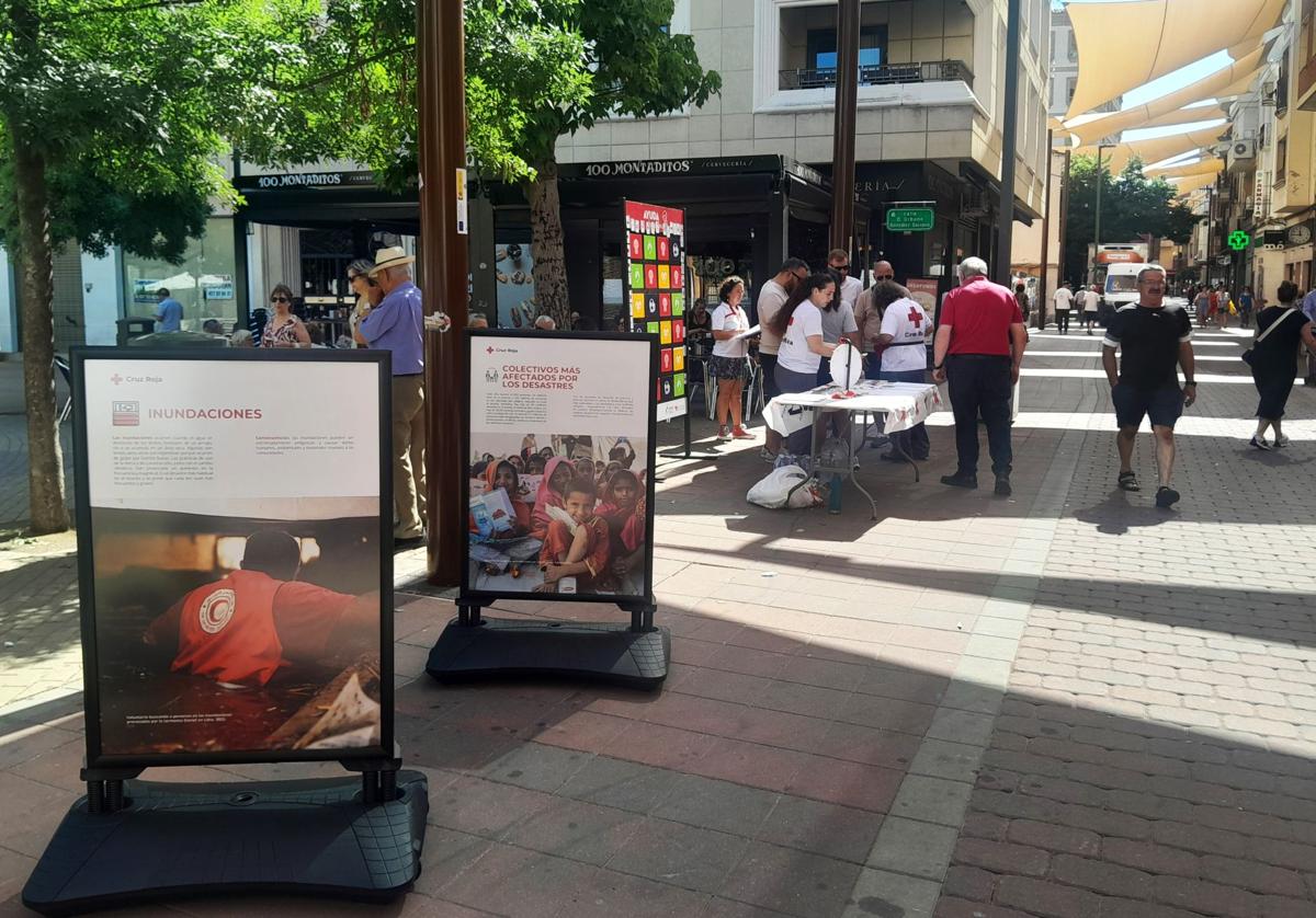 Campaña de Cruz Roja en la zona peatonal