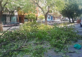 Vuelven los trabajos a la avenida de las Angustias