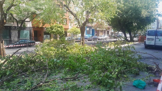Se reanudan los trabajos para peatonalizar la avenida de las Angustias