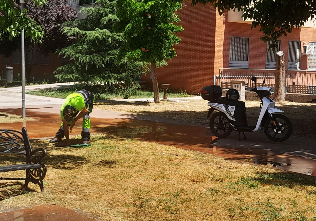 Uno de los jardineros activando de forma manual el riego en Pozo Rancón