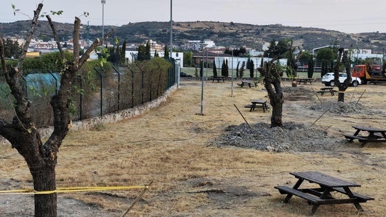 El Ayuntamiento se decide por la charca Mayen para trasplantar las moreras