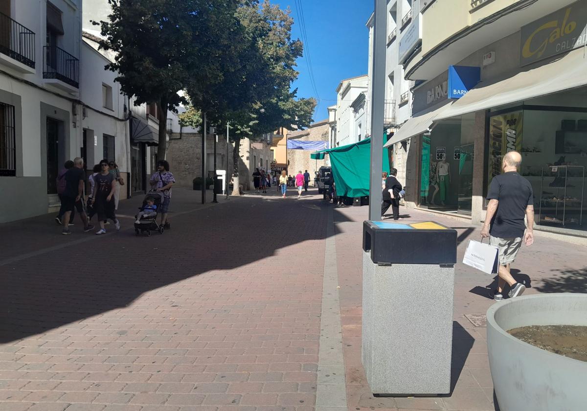 Zona comercial del peatonal de Antonio Concha