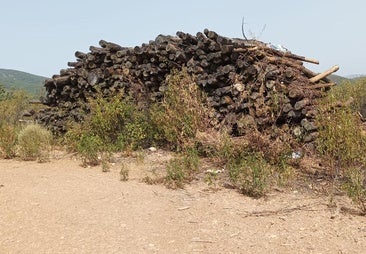 Montones de madera y restos de corta se apilan en el campo desde hace años sin que nadie los retire