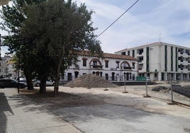 Los únicos tres árboles que se han salvado